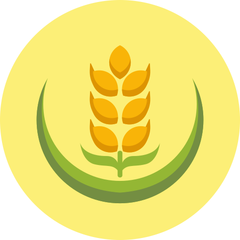 Grains and Pulses