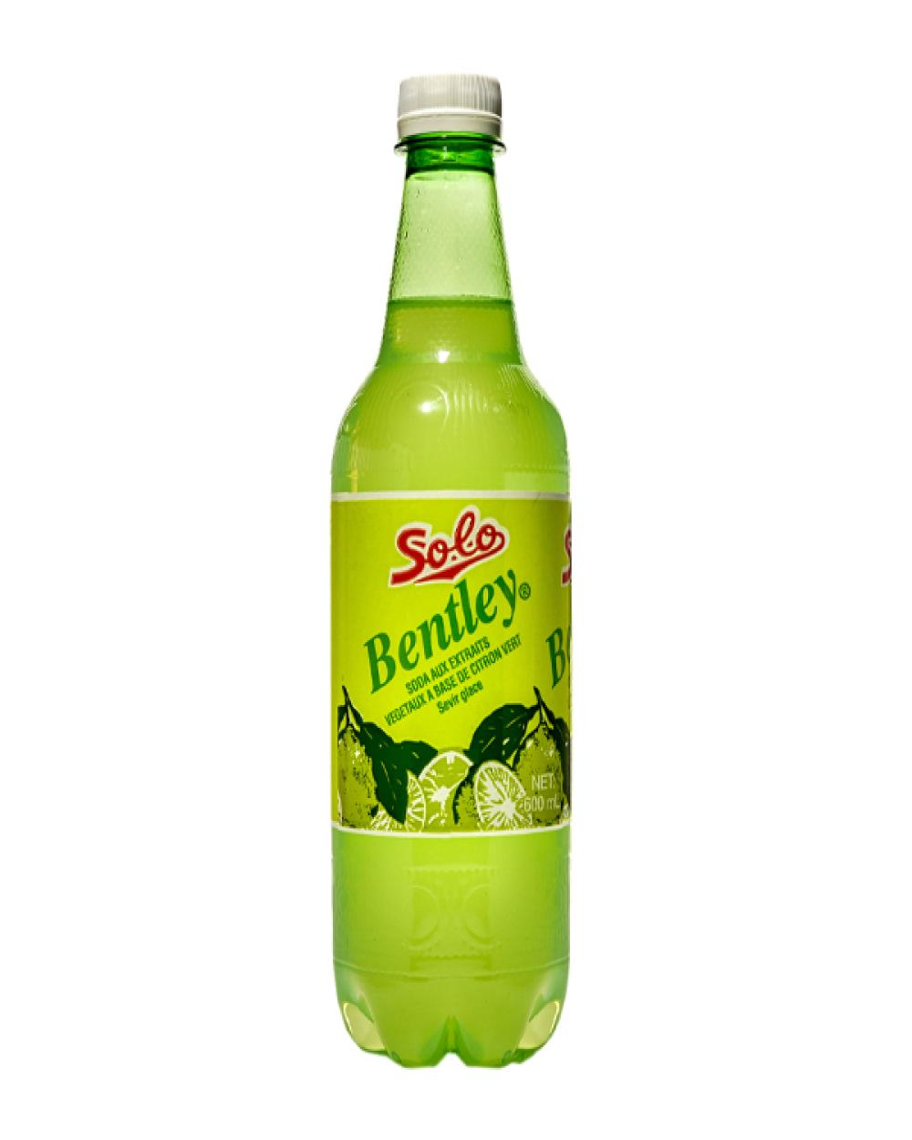 Solo 12oz - Bentley